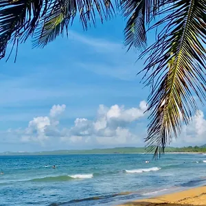 https://beach-bumshideaway.top-hotels-puertorico.com